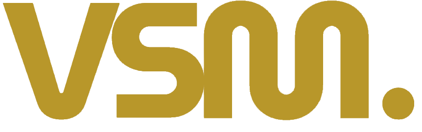 VSM